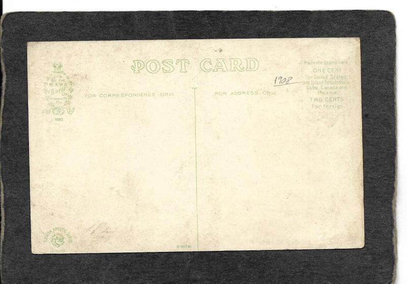 Florida-Double Headed Rattler 1908 - antique postcard