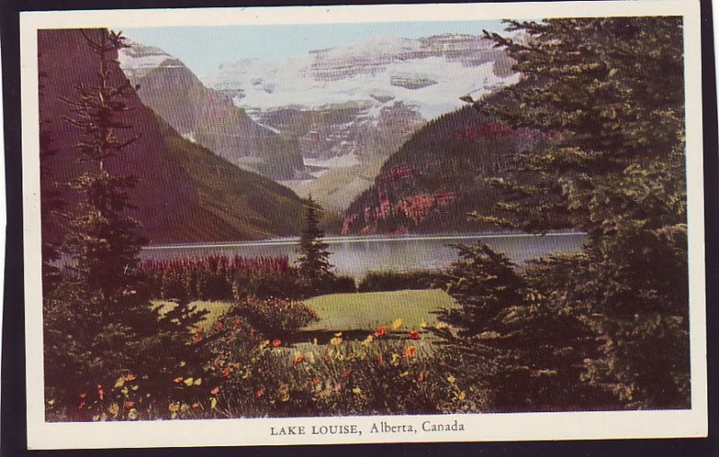 P1487 vintage unused postcard beautiful lake louise alberta canada