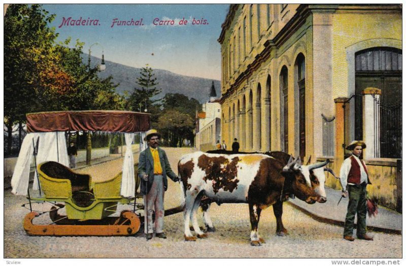 Carro De Bois, Funchal, Madeira, Portugal, 1900-1910s