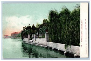 Oakland California CA Postcard Lake Merritt Exterior River c1905 Vintage Antique