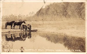 J31/ North Platte Nebraska RPPC Postcard c1910 Buffalo Bill Ranch Horses 307
