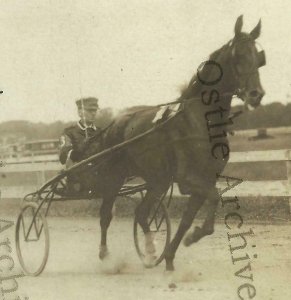Holley NEW YORK RP c1910 HARNESS RACING Horse Race Trotting Pacing F.B. SALSBURY