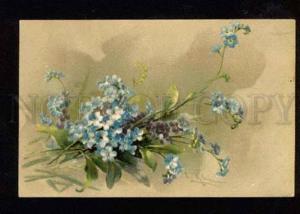 3051420 FORGET-ME-NOT Flowers by C. KLEIN vintage Colorful PC