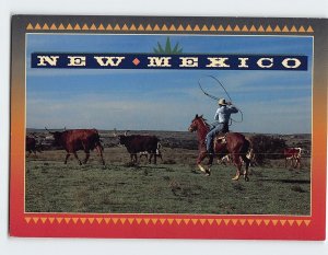 Postcard Cattle roping long-horned steer in the west, New Mexico