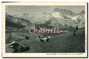 Postcard Old Pastures Lautaret and Galibier Cows