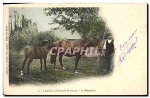 Old Postcard Equestrian Horse Riding Through the Normandy campaign The Maquignon