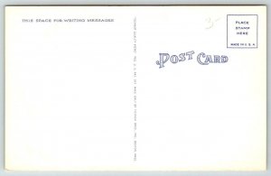 Comic Humor  Mother with Children  Postcard