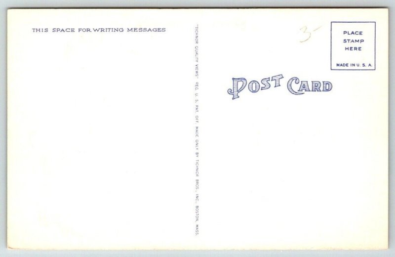 Comic Humor  Mother with Children  Postcard