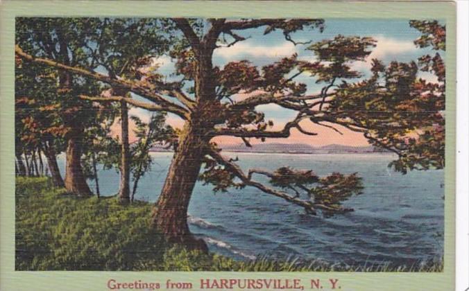 New York Greetings From Harpursville