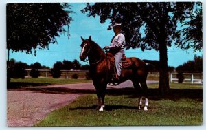 FORT WORTH, TX ~ Champion Quarter Horse SOCKS FIVE Loyd Jinkens Ranch Postcard