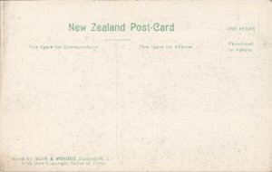 Rotorua New Zealand Sanatorium Grounds Unused Muir Moodie 4183 Postcard H15