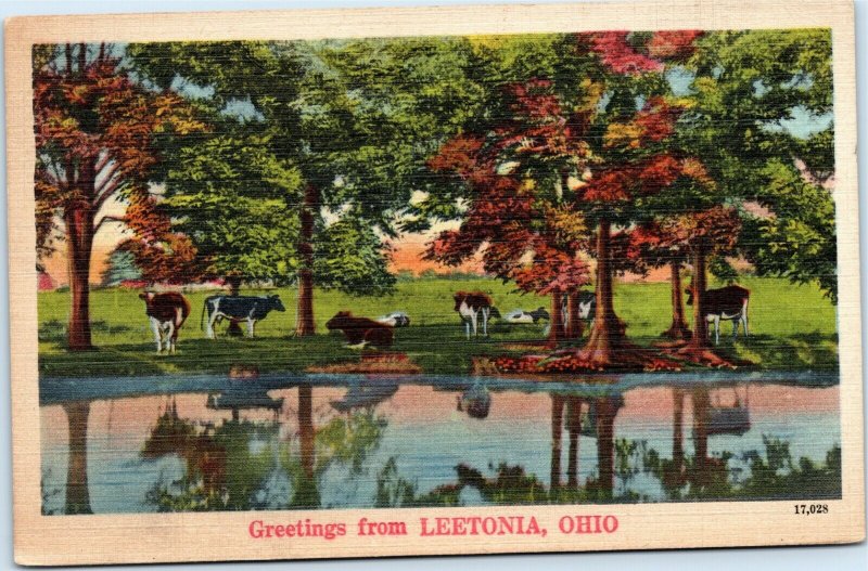 postcard Ohio - Greetings from Leetonia - cows under trees by river - NYCE