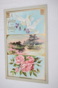 A Valentine Greeting Postcard Birds Spring Scene Roses P.C. 236