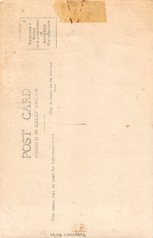 H81/ Beautiful Horse Animal RPPC Postcard c1910 20