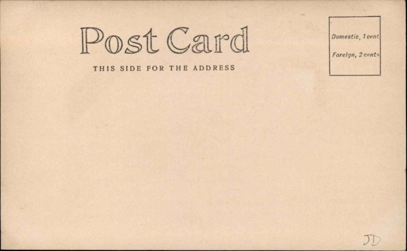 Newport Rhode Island RI 1906 Carnival Office Bldg Bunting Real Photo Postcard