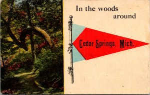 Postcard Pennant Flag Cedar Springs, Michigan Travel Advertising Greetings