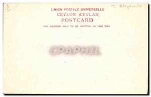 Postcard Old Elephant Elephants Celon