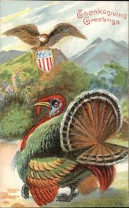 Thanksgiving Turkey and American Eagle American Shield Patriotic c1910 Postcard