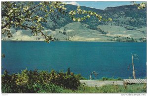 The Sunny Okanagan Lake , B.C. , Canada , 40-60s