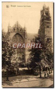 Old Postcard Belgium Bruges Cathedrale Saint Savior