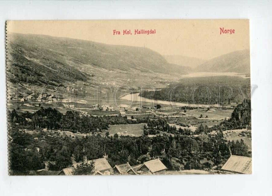 3114714 Norge Norway Fra Hol Hallingdal Vintage Photo Postcard Europe