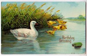 Birthday Greetings - Family of Ducks