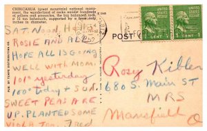 Postcard NATURE SCENE Douglas Arizona AZ AP8566