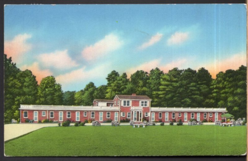 South Carolina OLANTA Lewis Motel located on Hwy U.S. 301 - pm1956 - Chrome