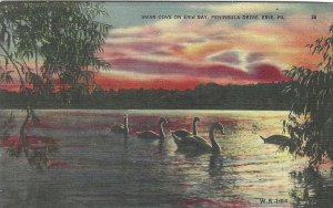 1940's Swan Cove on Erie Bay, Peninsula Drive, Erie, PA Linen Postcard