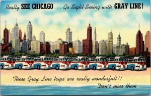 Postcard Gray Line Fleet of Visionaire Buses in Chicago, Illinois~998