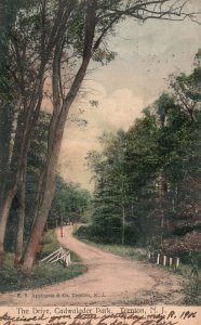 Vintage Postcard 1906 Drive Cadwalader Park Trails Pathway Trenton New Jersey NJ