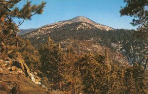 California MT. SAN GORGONIO San Bernardino Mountains c1950s Vintage Postcard