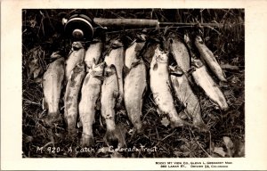 Real Photo Postcard A Catch of Colorado Trout Fishing Pole in/near Denver