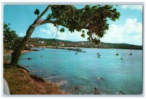 1964 Steamboat and River Scene Puerto Mulas Vieques Puerto Rico Vintage Postcard 
