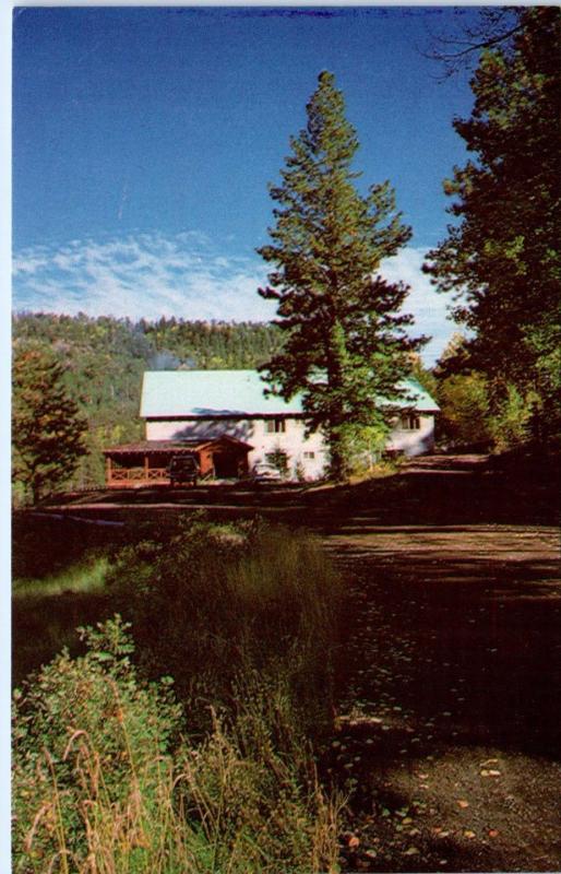 GREER, AZ Arizona   AMBERIAN POINT LODGE  8500 FT  c1960s Roadside  Postcard