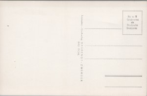 Austria Bad Ischl Esplanade  Vintage RPPC C067