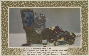 Cat Wrecking Sewing Knitting Box Comic Real Photo Old Postcard