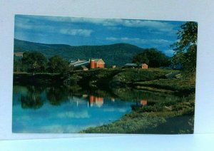 Vermont Farm On Connecticut River Postcard 