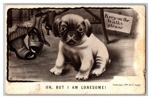 c1909 Postcard Oh But I Am Lonesome Dog Artist Signed V. Colby