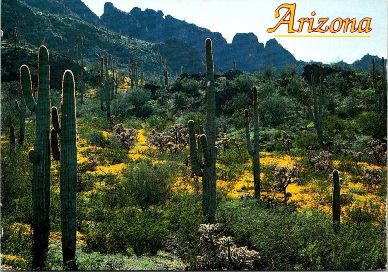 Arizona - Saguaro Catus & Desert Poppies - [AZ-412X]