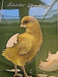 Postcard Antique Embossed Easter Greetings, Young Chick,Hatching.      U1