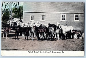 c1910's Clark Bros. Stock Farm Horses Foal Building Livermore Iowa IA Postcard