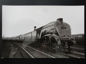 LNER Steam Loco GOLDEN PLOVER No.60031 (The Elizabethan) RP Cecil Ord Photocard