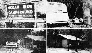 Ocean View New Jersey Campground~Campsites w Tent & RV~Bathrooms~c1950s Postcard