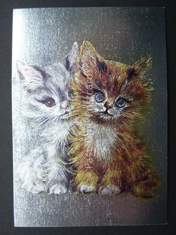 Pussy Cat CUTE BIG EYE KITTENS c1980's by F J Warren DUFEX FOIL Postcard