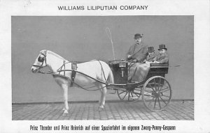 Williams Liliputian Company View Images