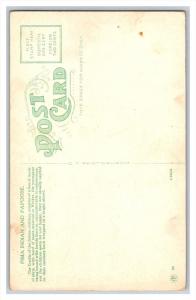 21970  Pima Indian with papoose