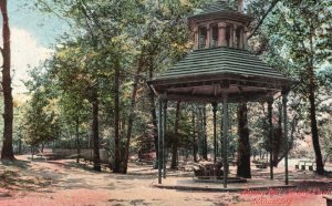 Vintage Postcard 1908 Flowing Well Gazebo Trees Island Park Elhart Indiana IND