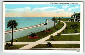 Tampa Bay Shore Drive Florida Postcard Old Car Home Roads Street Lamps Unposted