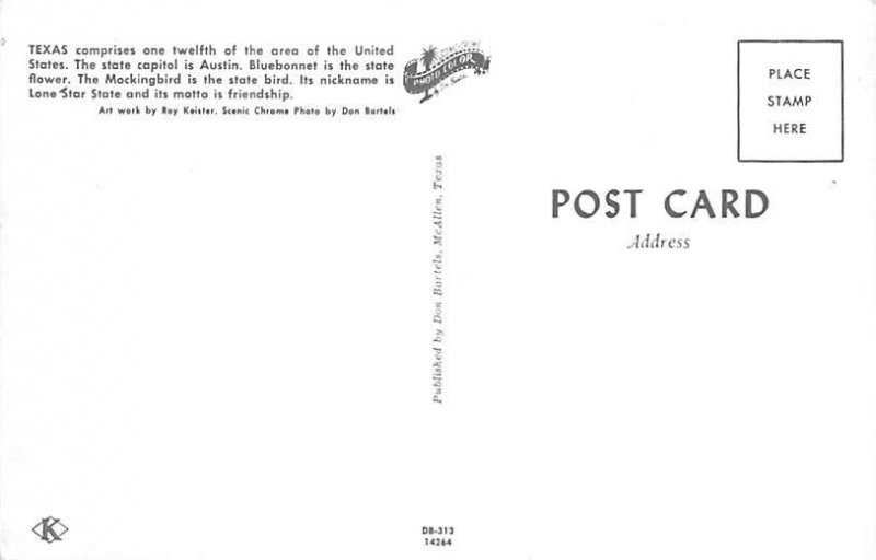 Pecan Trees State Flag - State Flag, Texas TX Postcard